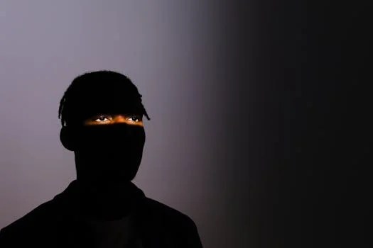 詐欺についての調査記録