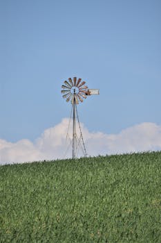 ブログテーマ、コクーンについて